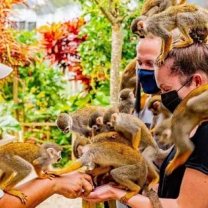 Monkeyland and Plantation Tour in Punta Cana