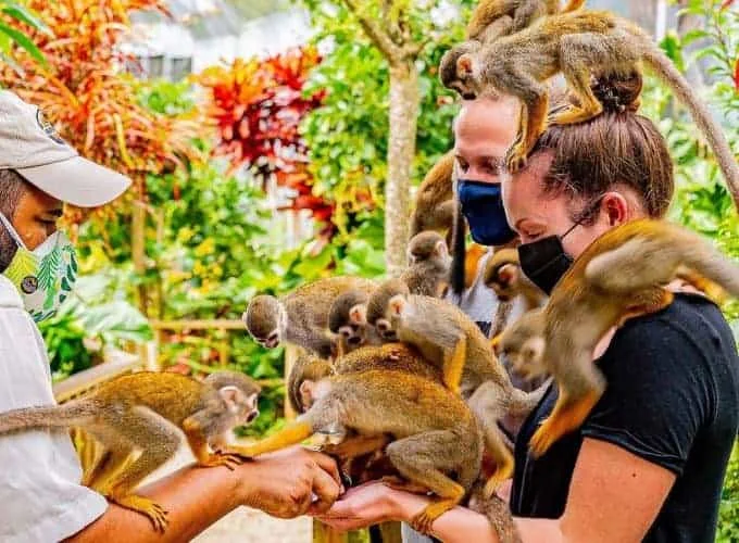 Monkeyland and Plantation Tour in Punta Cana