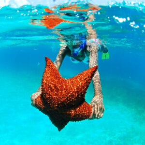 Saona Island Tour from Punta Cana – All Inclusive Full Day