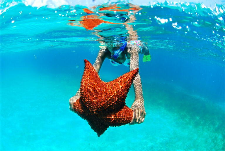 Saona Island Tour from Punta Cana – All Inclusive Full Day